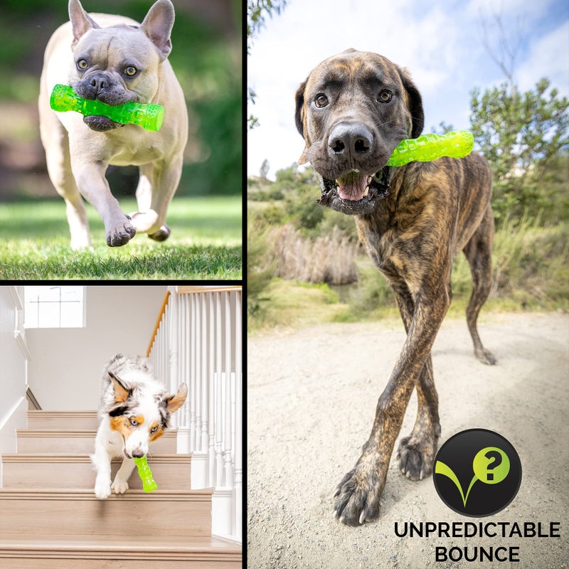 Hyper Pet DuraSqueaks Dog Toy Balls and Chews (Squeaky Dog Ball For Interactive Play â€“ Floating Balls and Toys) - Medium Stick - Image 3